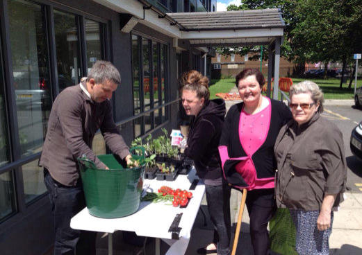 group of stockport residents learning how to grow their own fruits and vegetables