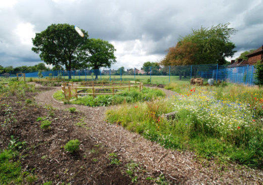 wildlife garden and growing space at haveley hey primary school in manchester