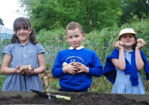 three school children hold potatoes they have harvested in school gardening project