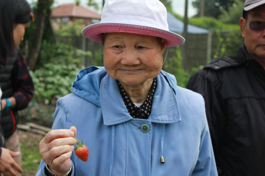 chinese grower